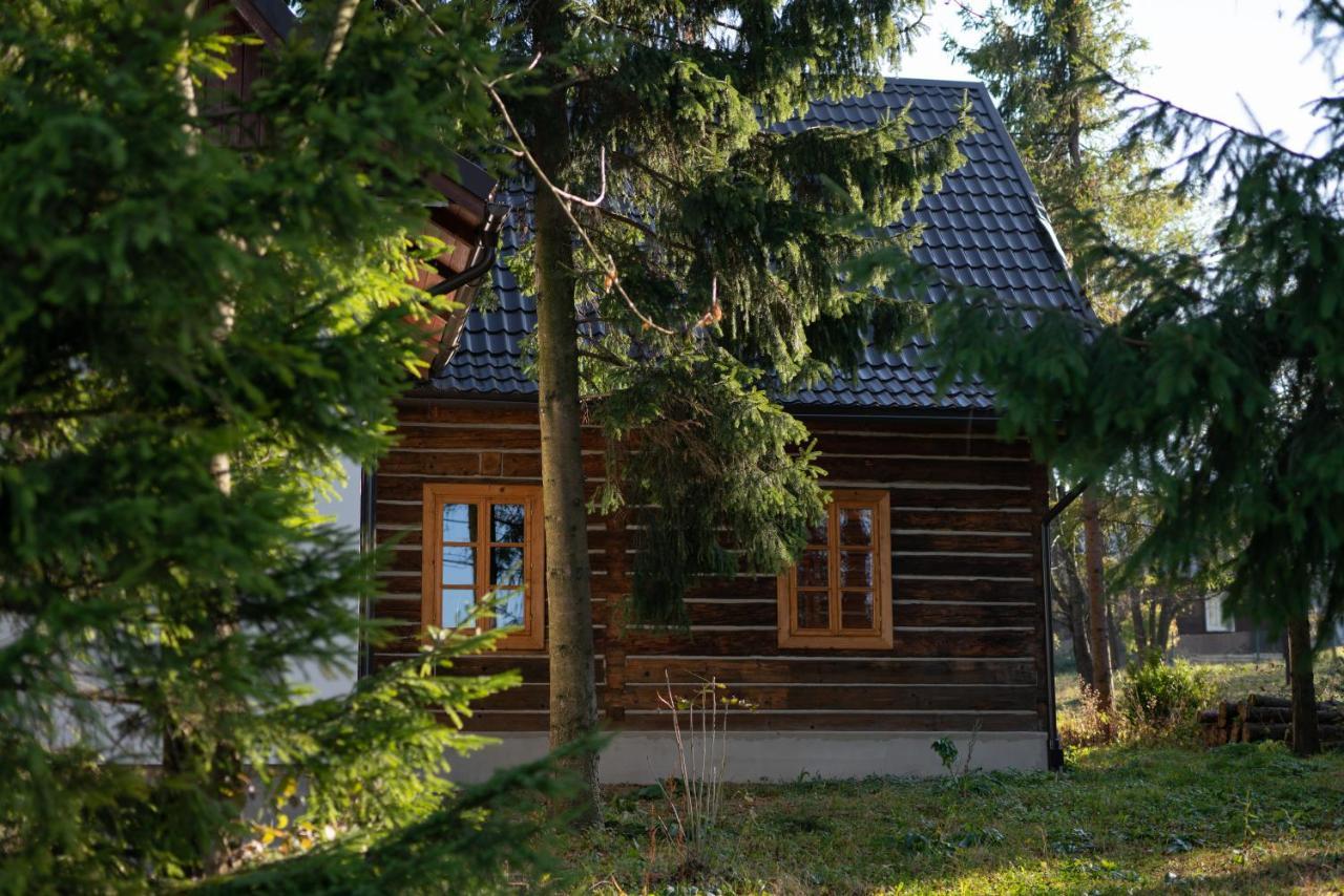 Palacowka Дукля Екстер'єр фото